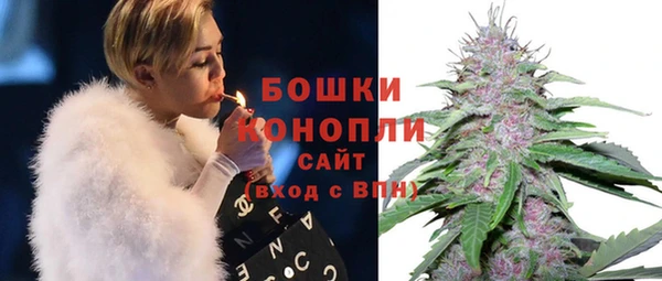 трава Мурманск